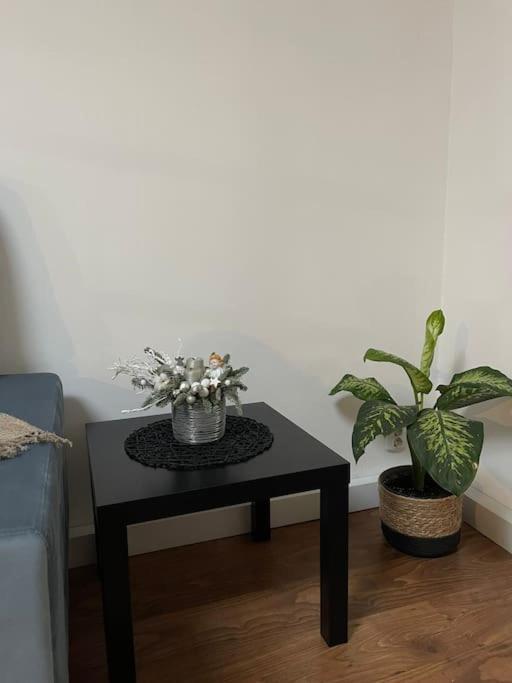 Apartament La Casa Тімішоара Екстер'єр фото